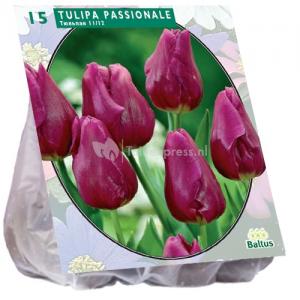 Baltus Tulipa Passionale tulpen bloembollen per 15 stuks